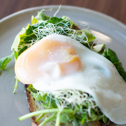 Avocado Toast